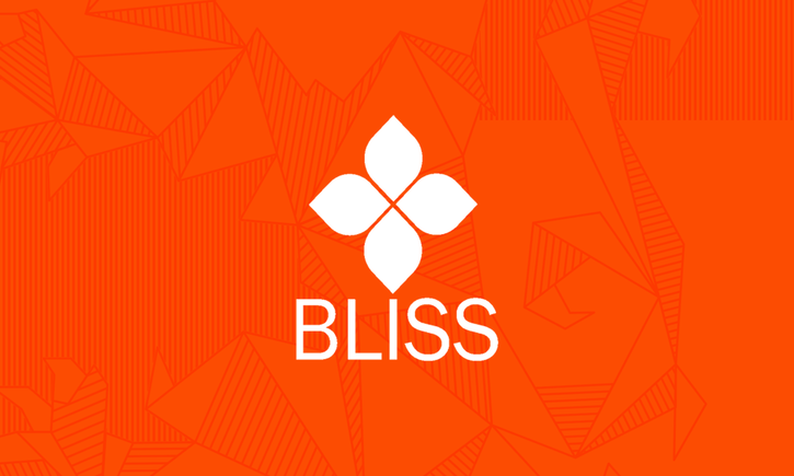 Bliss Summer School